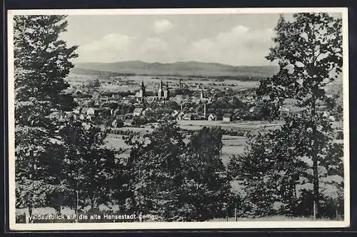 AK Lemgo, Waldausblick über die alte Hansestadt