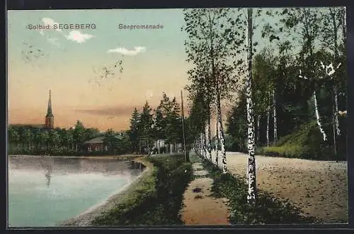 AK Segeberg, Seepromenade mit Strandpartie und Birkenallee