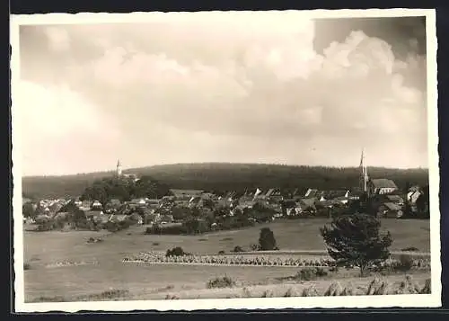 AK Pleystein, Totalansicht mit Kreuzbergkirche u. Pfarrkirche
