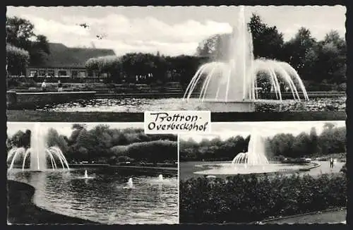 AK Bottrop-Overbeckshof, Partien im Park mit Springbrunnen