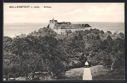 AK Ballenstedt a. Harz, Ansicht vom Schloss