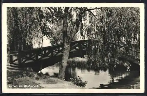 AK Lychen, Brücke und Weide am Mühlenbach
