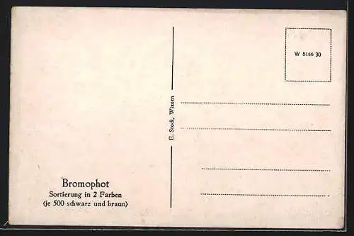 AK Wissen /Sieg, Gesamtansicht der Burg