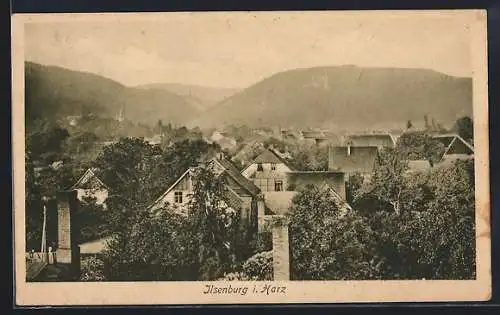 AK Ilsenburg i. Harz, Blick auf den Ort