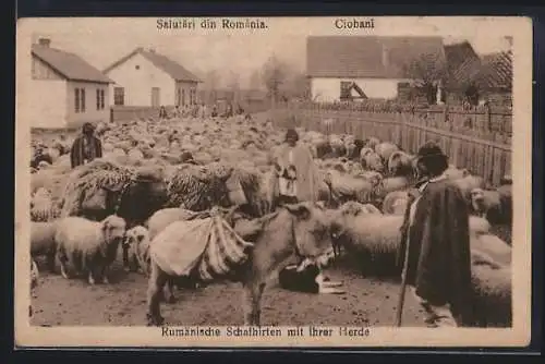 AK Rumänische Schafhirten mit ihrer Herde