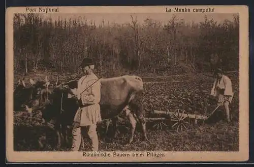 AK Rumänische Bauern beim Pflügen mit einem Ochsengespann