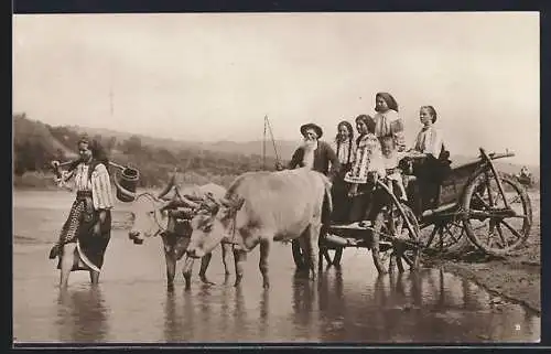 AK Rumänische Bauern in Trachten auf Ochsenwagen am Fluss