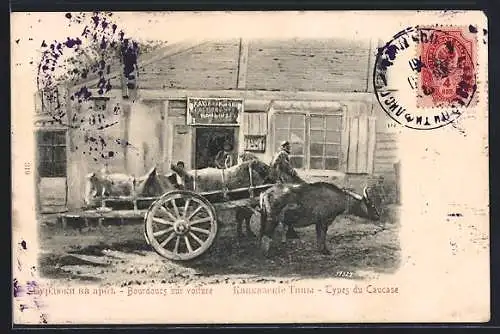 AK Ochsengespann im Kaukasus