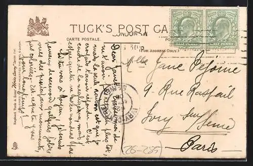 AK Autofahrer hat eine Katze überfahren, Polizist stellt einen Strafzettel aus