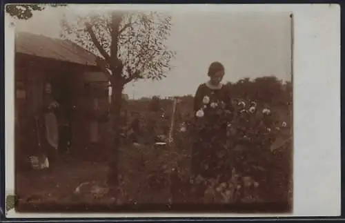 Foto-AK Berlin-Reinickendorf, Laubenpieper im Garten
