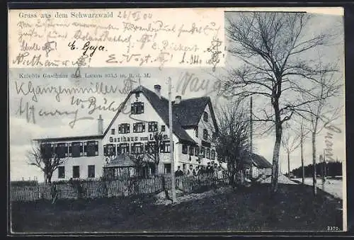 AK Kniebis /Schwarzwald, Gasthaus zum Lamm mit kleiner Versammlung und Strasse