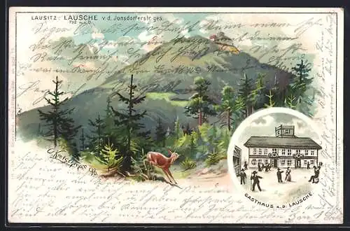 Lithographie Waltersdorf /Sa., Gasthaus auf der Lausche von der Jonsdorferstrasse gesehen
