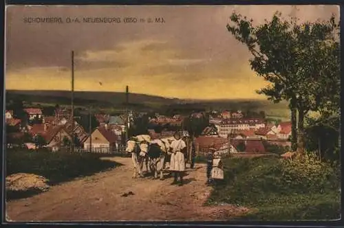 AK Schömberg /Neuenbürg, Ortsansicht mit Ochsenwagen u. Mädchen von der Landstrasse aus