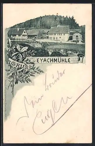 AK Eyachmühle /Württ. Schwarzwald, Blick auf die Mühle