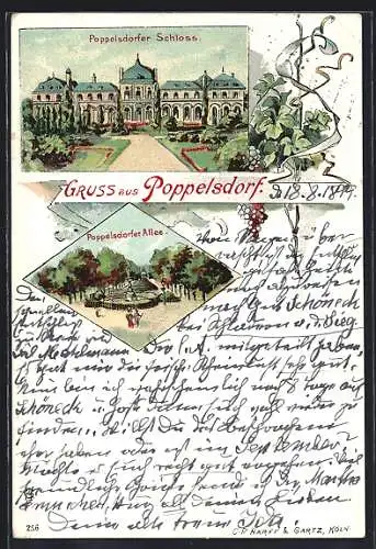 Lithographie Poppelsdorf, Schloss und Allee mit Brunnen