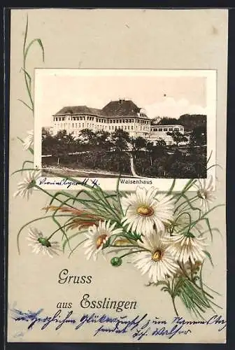 AK Esslingen / Neckar, Blick auf das Waisenhaus mit Grünanlage, Gänseblümchen-Passepartout