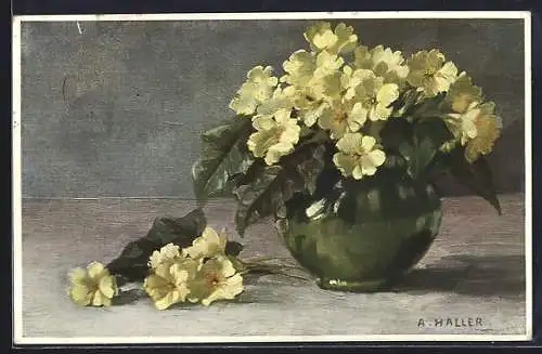 Künstler-AK A.Haller: gelbe Blumen in einer Vase