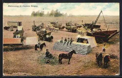AK Harvesting in Eastern Oregon