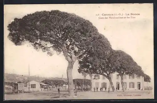 AK Cannes, La Bocca, Gare des Marchandises et les Pins