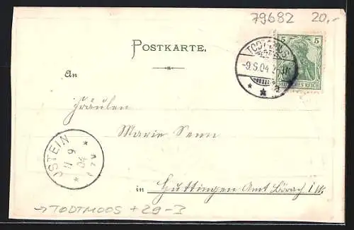 Passepartout-Lithographie Todtmoos /Schwarzwald, Blick über den Ort, Fächer mit Schmetterling