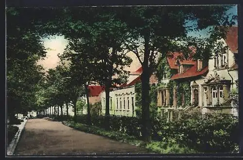 AK Kaiserslautern, Parkstrasse mit Bäumen