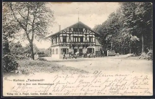 AK Taubensuhl, Kurhaus mit Strassenpartie