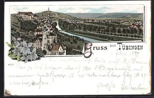 Lithographie Tübingen, Panorama