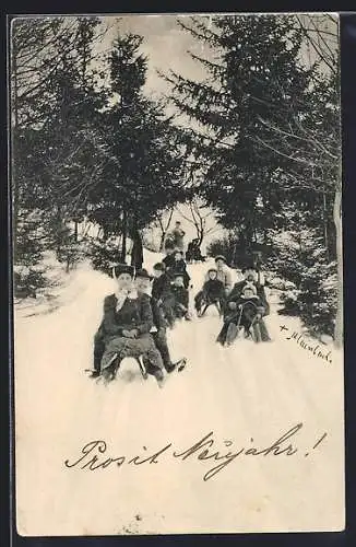 AK Hersbruck, Schlitten auf dem Michelsberg