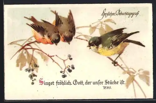 AK Vögel auf einem Zweig, Singet fröhlich Gott, der unsre Stärke ist, Ps. 81.2, Geburtstagsgruss, Sinnspruch