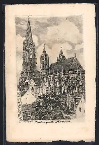 Künstler-AK Freiburg i. B., Münster