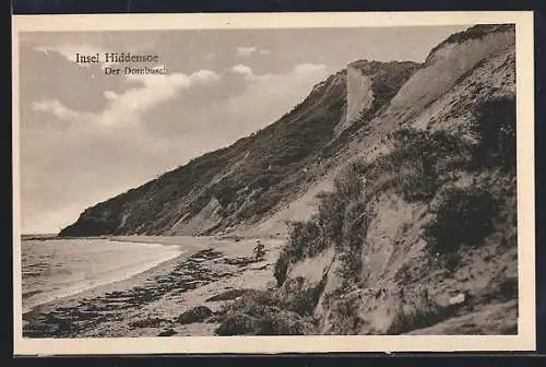 AK Insel Hiddensoe, Der Dornbusch