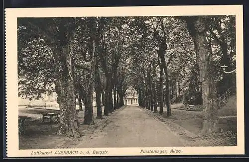 AK Auerbach a. d. Bergstr., Fürstenlager und Allee