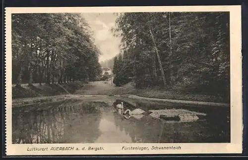 AK Auerbach a. d. Bergstr., Fürstenlager und Schwanenteich