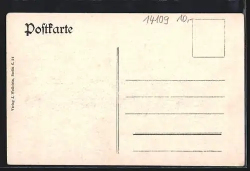 AK Berlin-Wannsee, Total-Ansicht