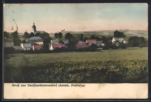 AK Grosshartmannsdorf /Amtsh. Freiberg, Teilansicht mit Kirche