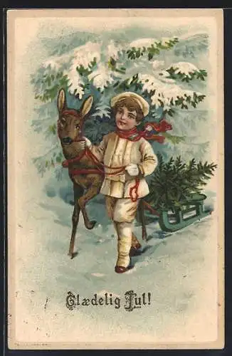 Präge-AK Kleiner Junge mit Tanne auf Rehschlitten, Weihnachtsgruss