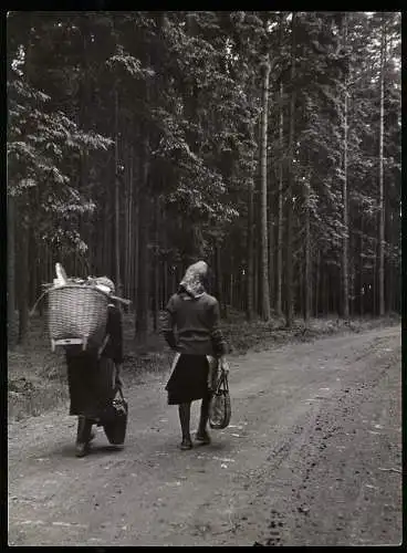 Fotografie Eckelt, Berlin, zwei Frauen schleppen Holz aus dem Wald im Fichtelgebirge