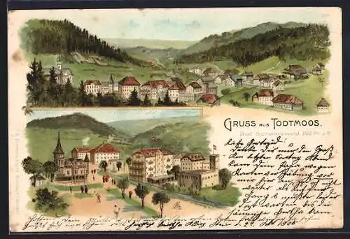 Lithographie Todtmoos, Blick über den Ort, Strassenpartie, Fahrrad