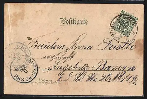 Lithographie Tübingen, Schloss mit Alleenbrücke, Marktplatz, Ortsansicht