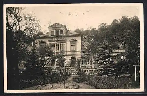 AK Wehlen / Elbe, Hotel-Fremdenheim Elb-Friede, Rosenstrasse 22