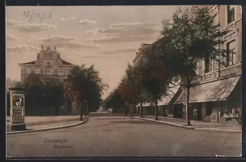 AK Eschweiler, Geschäfte in der Rosenallee