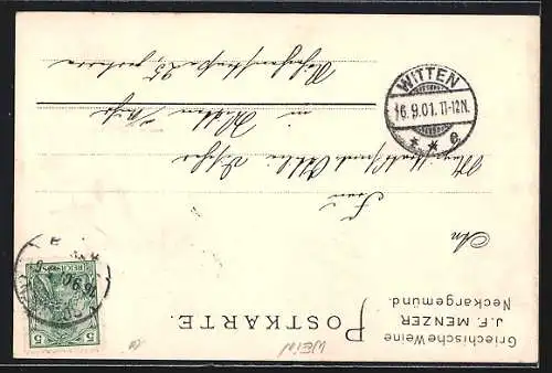 Lithographie Neckargemünd, Teilansicht, J. F. Menzer Weingrosshandlung