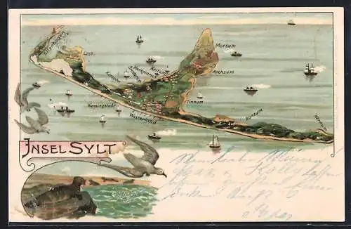 Künstler-AK Sylt, Landkarte mit den Ortschaften der Insel, Seelöwe, Möwen