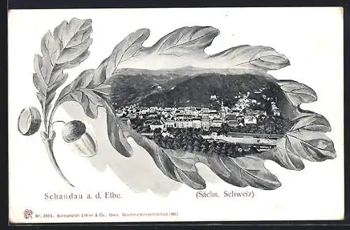 AK Schandau a. d. Elbe, Ortspartie mit Umgebung, Eichenblatt-Passepartout
