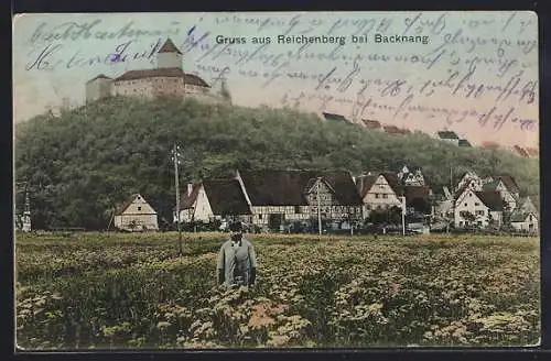 AK Reichenberg bei Backnang, Blick auf das Schloss