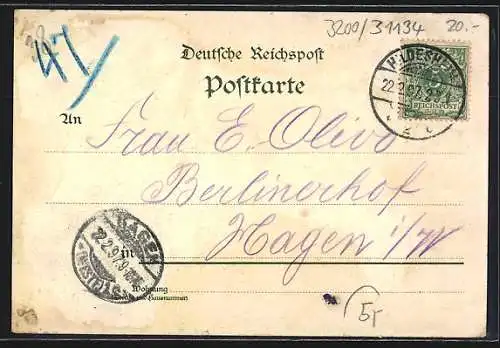 Lithographie Hildesheim, Teilansicht, Andreasplatz, 1000 jähriger Rosenstock