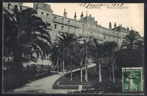 AK Cannes, Hôtel Californie et palmiers majestueux