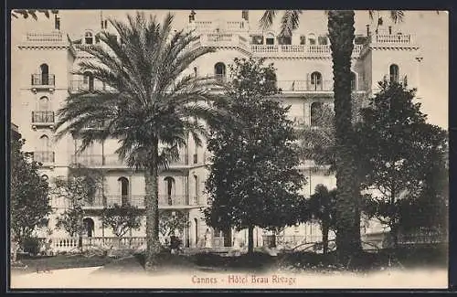 AK Cannes, Hôtel Beau Rivage et palmiers majestueux en facade
