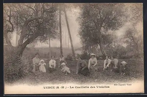 AK Vence, La Cueillette des Violettes