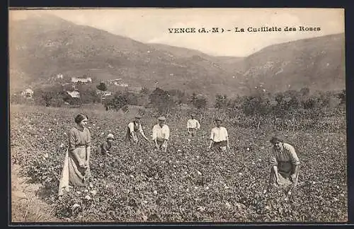 AK Vence, La Cueillette des Roses